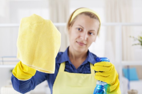 Arkley Cleaners team performing dust removal