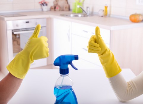 Professional cleaning team at work