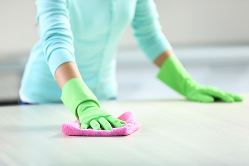 Detailed cleaning of upholstery by Arkley Cleaners