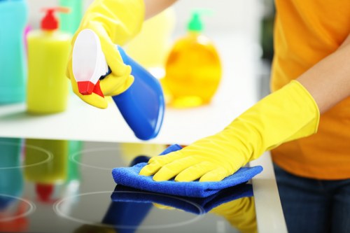Eco-friendly carpet cleaning solutions at Arkley Cleaners