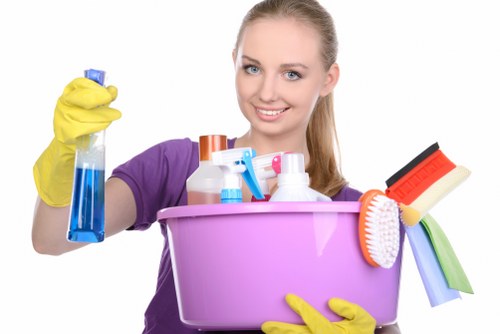 Professional team performing gutter cleaning